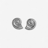 Chunky Shell Earrings
